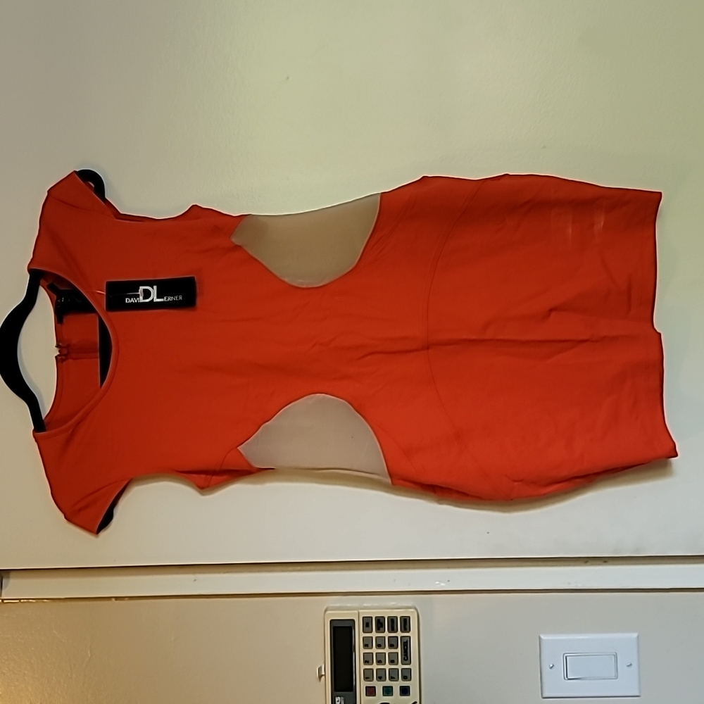 David learner sheer inset bodycon dress